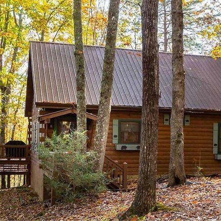 הוילה בלו רידג' Mountain Time Cabin, Hot Tub, Fire Pit, Fireplace מראה חיצוני תמונה