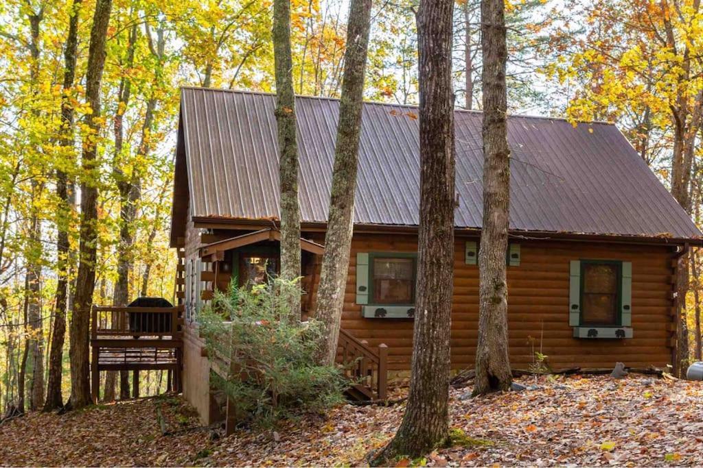הוילה בלו רידג' Mountain Time Cabin, Hot Tub, Fire Pit, Fireplace מראה חיצוני תמונה