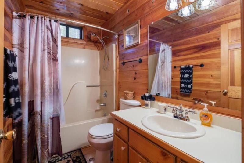 הוילה בלו רידג' Mountain Time Cabin, Hot Tub, Fire Pit, Fireplace מראה חיצוני תמונה