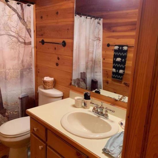 הוילה בלו רידג' Mountain Time Cabin, Hot Tub, Fire Pit, Fireplace מראה חיצוני תמונה